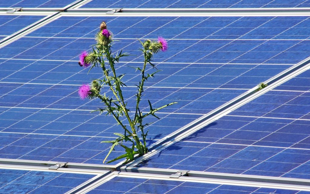 Solar Installation Ahuimanu