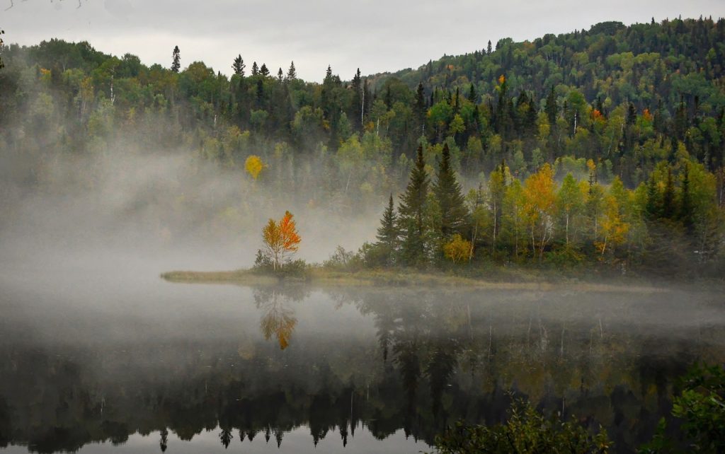 Preservation Of Clean Air And Water.